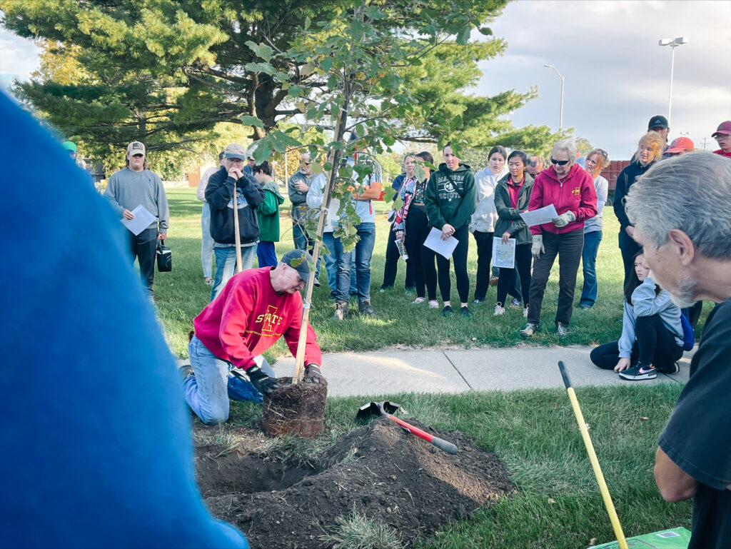 Group of people planting a tree