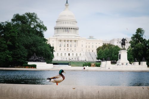 Washington D.C. Fly-In (May 2025)