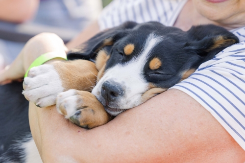 442490580 945371867598487 2904427188281129887 n